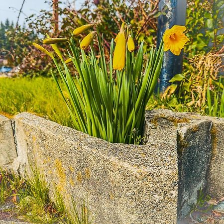 Emerald Best Motel Edmonds Zewnętrze zdjęcie